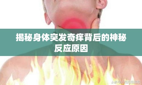 揭秘身体突发奇痒背后的神秘反应原因