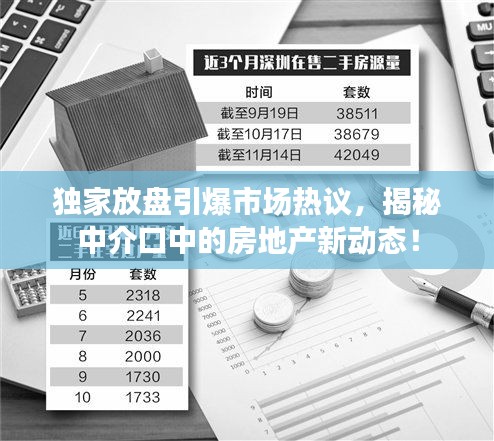 独家放盘引爆市场热议,揭秘中介口中的房地产新动态!