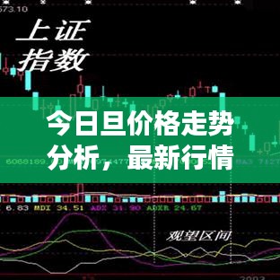 今日旦价格走势分析,最新行情揭秘