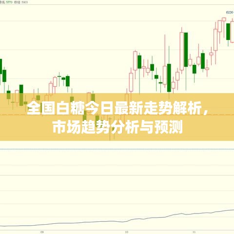 全国白糖今日最新走势解析,市场趋势分析与预测